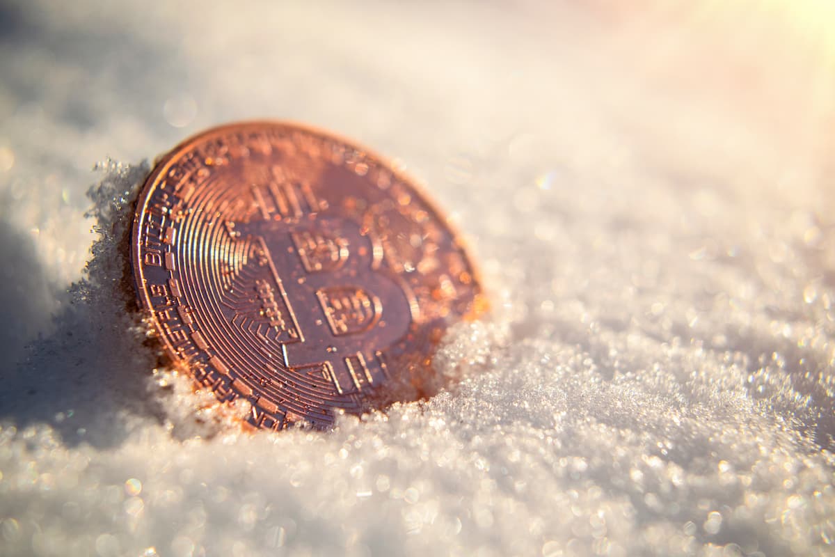 Investors turn to gold as crypto winter deepens