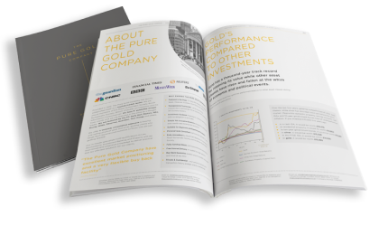 The Pietra Sussan Company Investor Guide